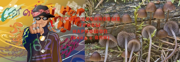 винт Наволоки